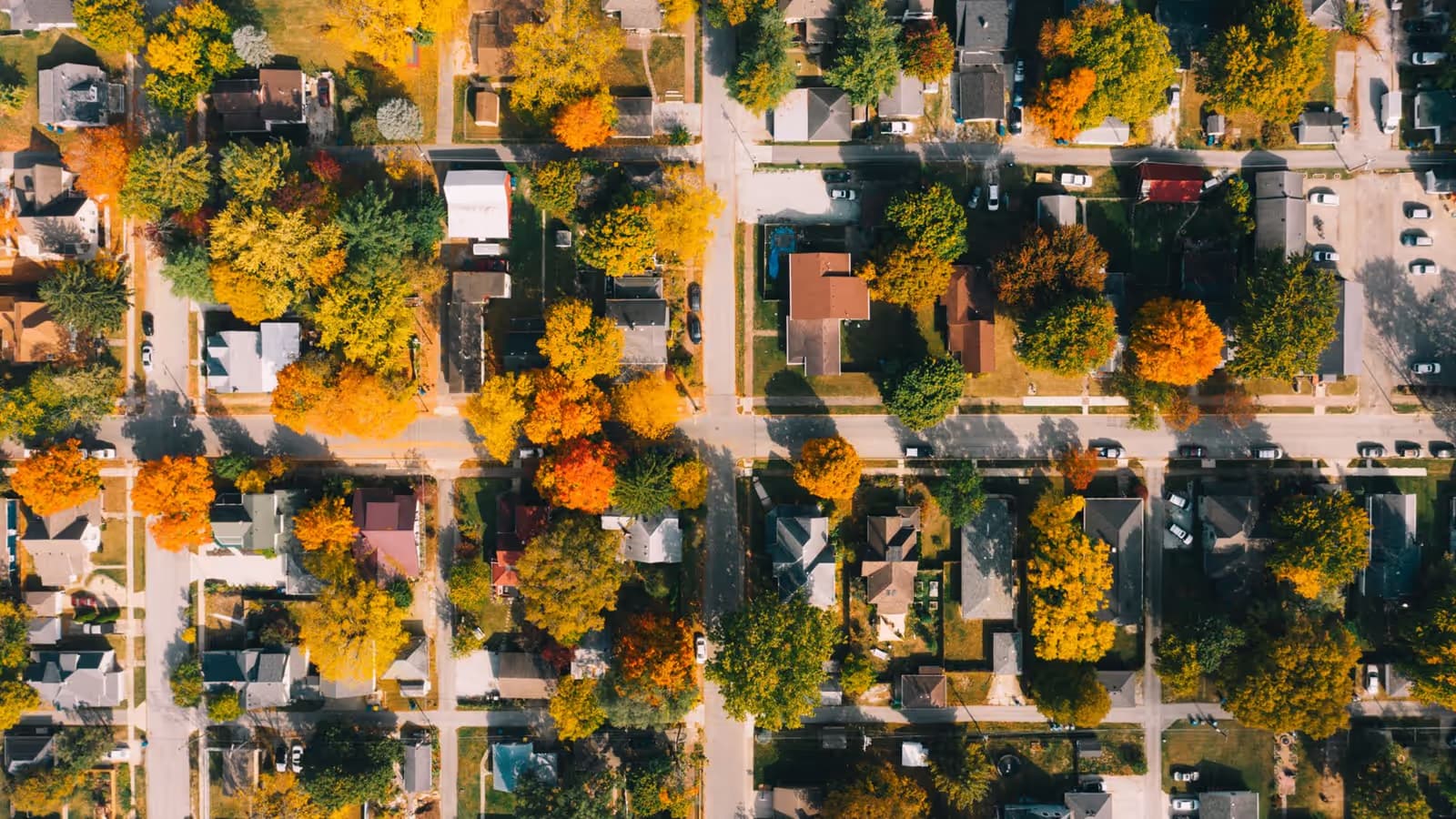 Vue aérienne d'un quartier résidentiel pavillonnaire aux arbres flamboyants d'automne, rues quadrillées bordées de maisons individuelles et de jardins