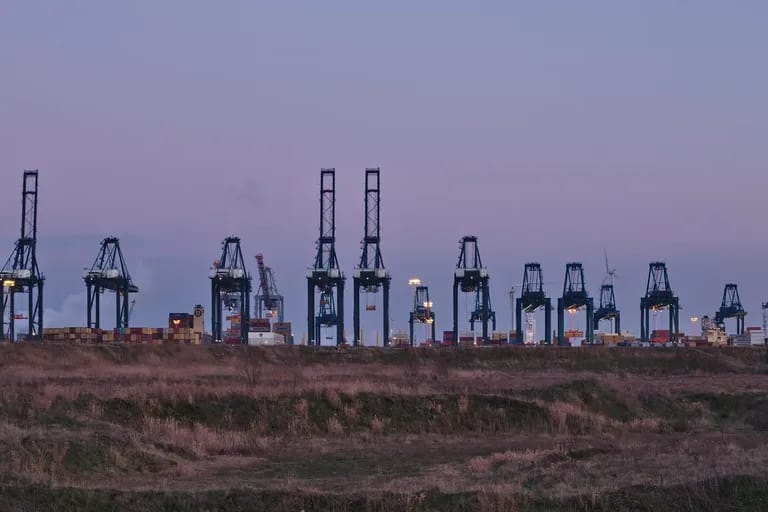 Rangée de grues portuaires et conteneurs empilés au crépuscule