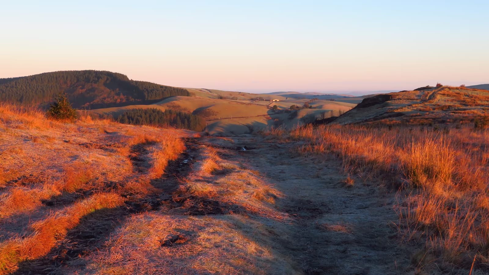 Sentier baigné de lumière matinale traversant une colline boisée, image de sérénité et de cheminement